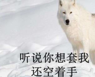 有没有空手套白狼的赚钱生意？聊聊我的经历！