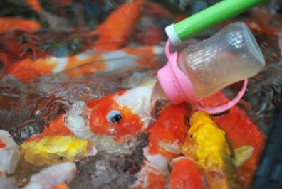 现在有哪些可以投入低还赚钱的小项目？配图